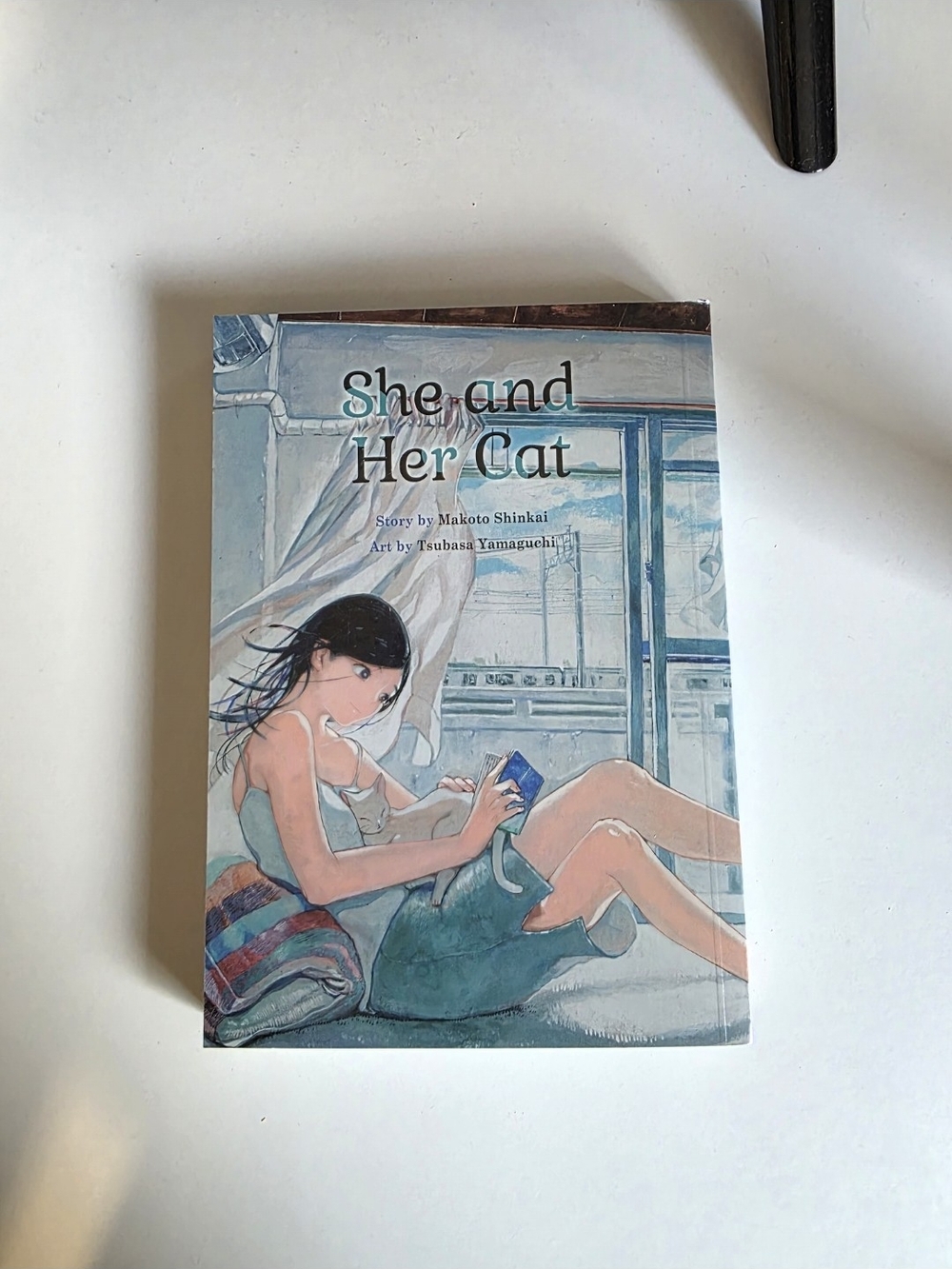 She and Her Cat Graphic Novel
